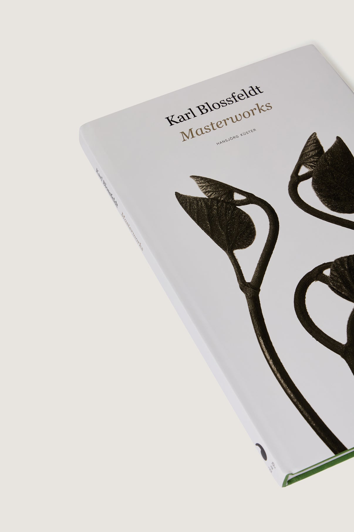 BOOK "KARL BLOSSFELDT : MASTERWORKS" vue 2